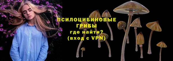 скорость Богородицк