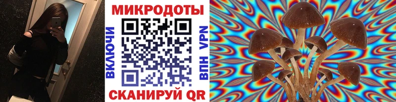нарко площадка клад  Олёкминск  Псилоцибиновые грибы MAGIC MUSHROOMS 