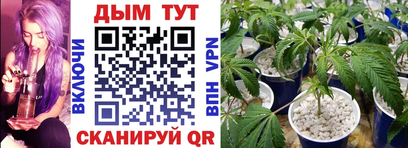 ОМГ ОМГ вход  Олёкминск  Каннабис VHQ  где найти наркотики 